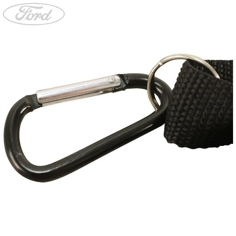 Sangle Ford - Image 5